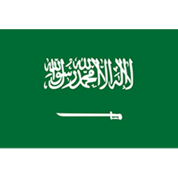 沙特阿拉伯女足